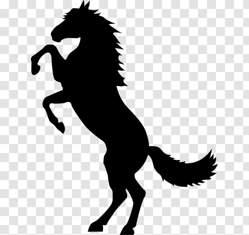 Mustang Rearing Stallion Stencil Silhouette - Monochrome Photography Transparent PNG