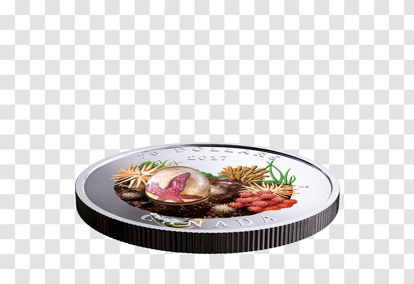 Plate Dish Barbecue Platter Recipe - Animal Source Foods Transparent PNG