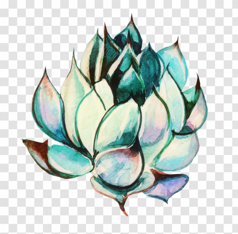 Lotus Flower - Perennial Plant Agave Transparent PNG