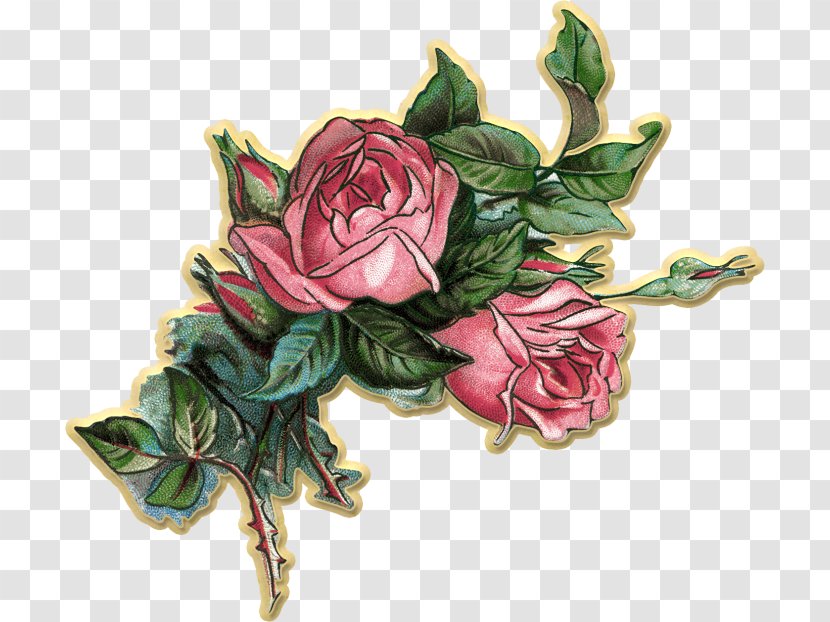Rose: Poems Poetry Clip Art - Floristry - Rose Transparent PNG
