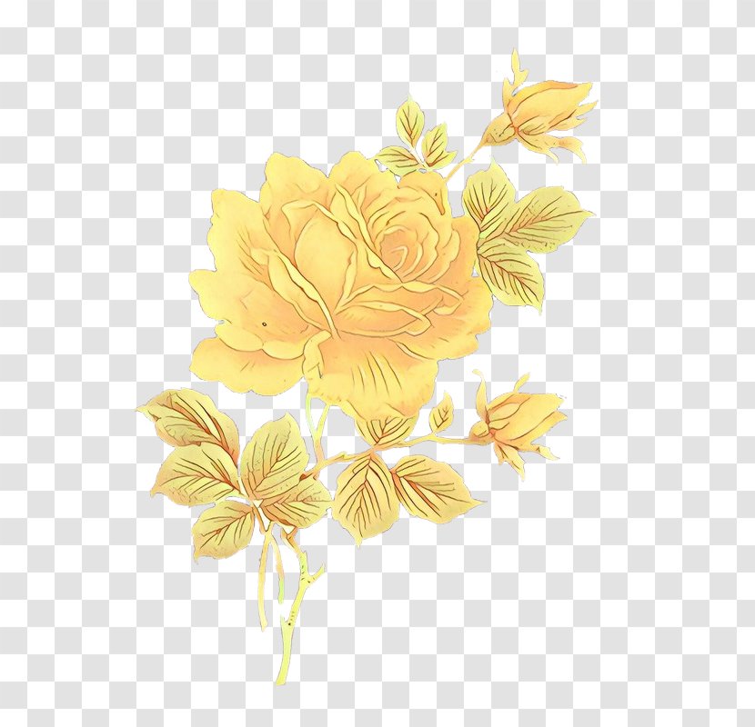 Bouquet Of Flowers Drawing - Plant - Hibiscus Transparent PNG
