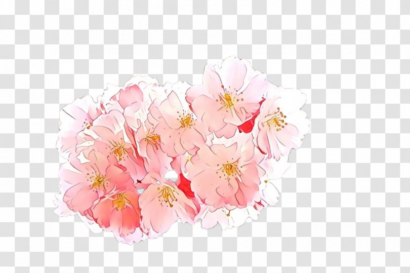 Cherry Blossom - Cartoon - Bouquet Branch Transparent PNG