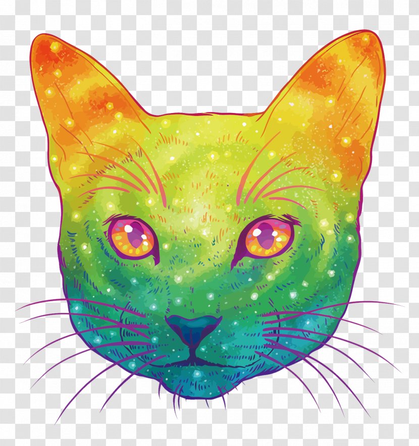 Cat Kitten Felidae Drawing Illustration - Psychedelic Art - Vector Colorful Transparent PNG