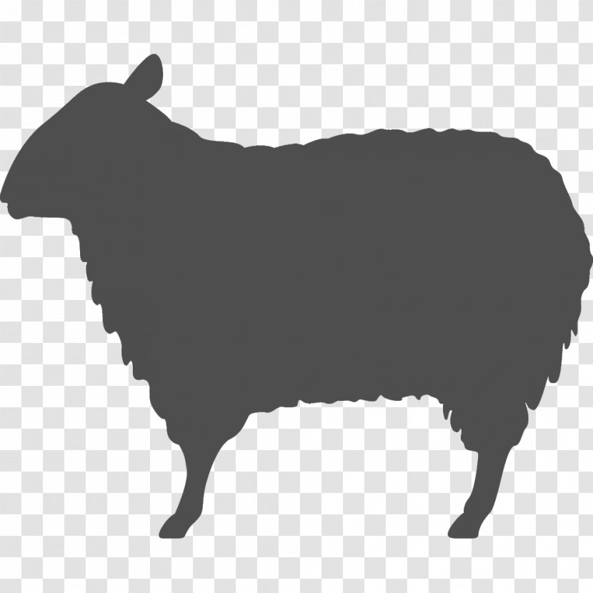 Sheep Résumé Template - Cow Goat Family - Mutton Hotpot Transparent PNG