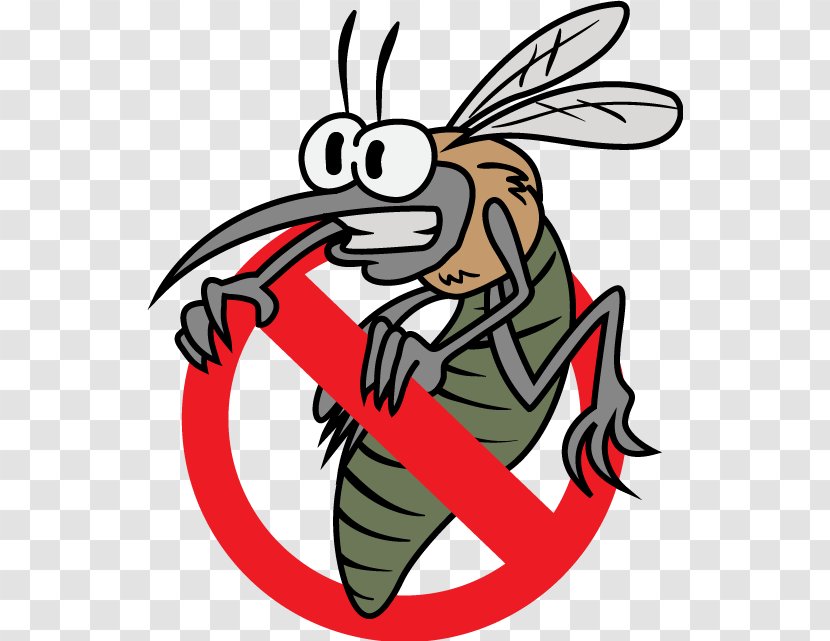 Mosquito Clip Art Illustration Disease - Cartoon Transparent PNG