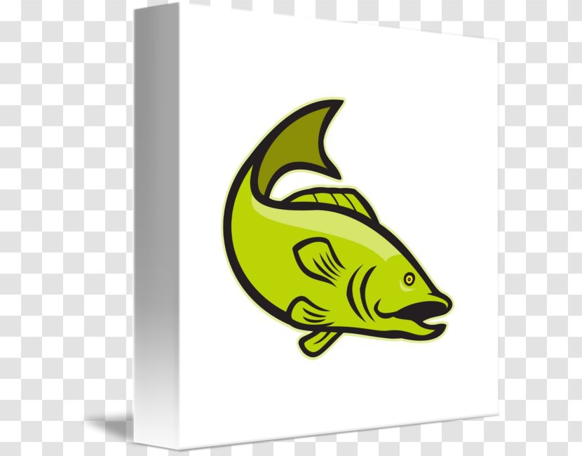 Largemouth Bass - Cartoon - Fish Jump Transparent PNG