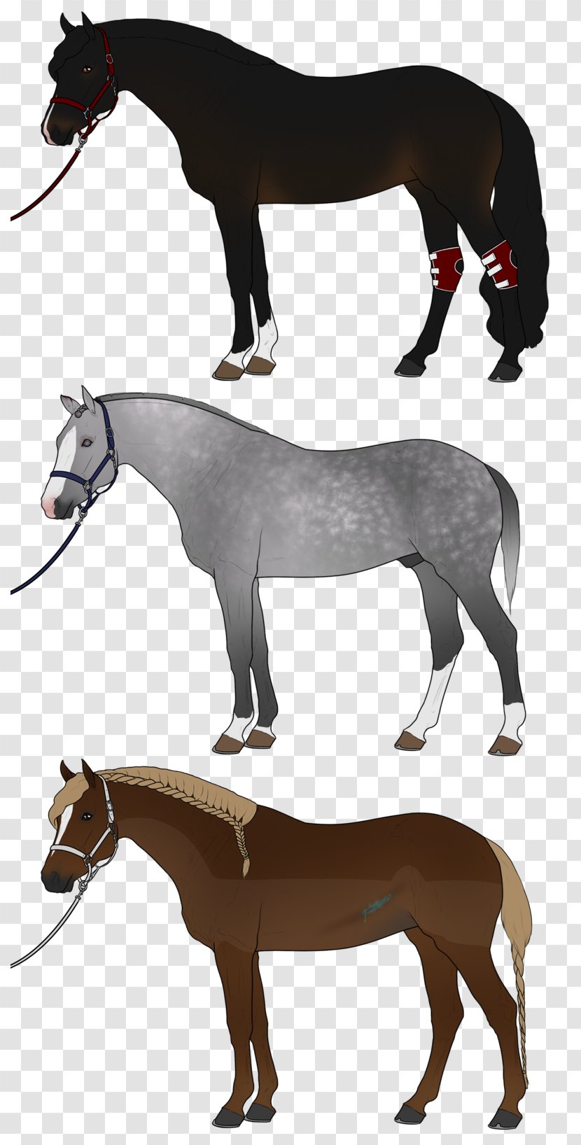 Mule Stock Photography Clip Art - Horse Transparent PNG