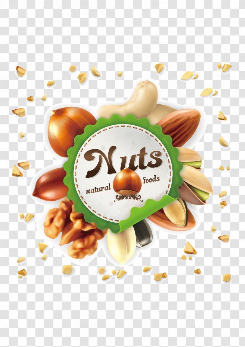 Nucule Mixed Nuts Euclidean Vector Stock Photography - Macadamia - Creative Transparent PNG
