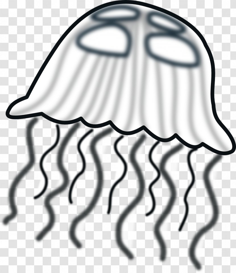 Jellyfish Drawing Cartoon Clip Art - Frame - Jelly Transparent PNG