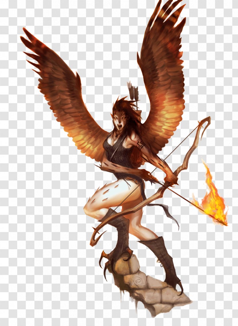 Pathfinder Roleplaying Game Dungeons & Dragons Harpy Legendary Creature Greek Mythology - D20 System - Dire Corby Transparent PNG