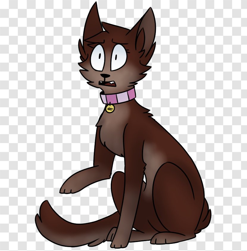 Whiskers Kitten Cat Canidae Dog Transparent PNG