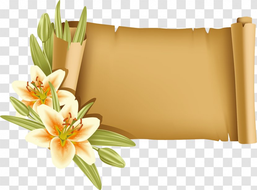 Afternoon Evening Day .nl Night - Flower - Rectangle Transparent PNG