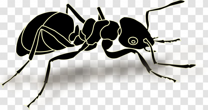 Ant Insect Vector Graphics Clip Art Illustration - Cartoon Transparent PNG
