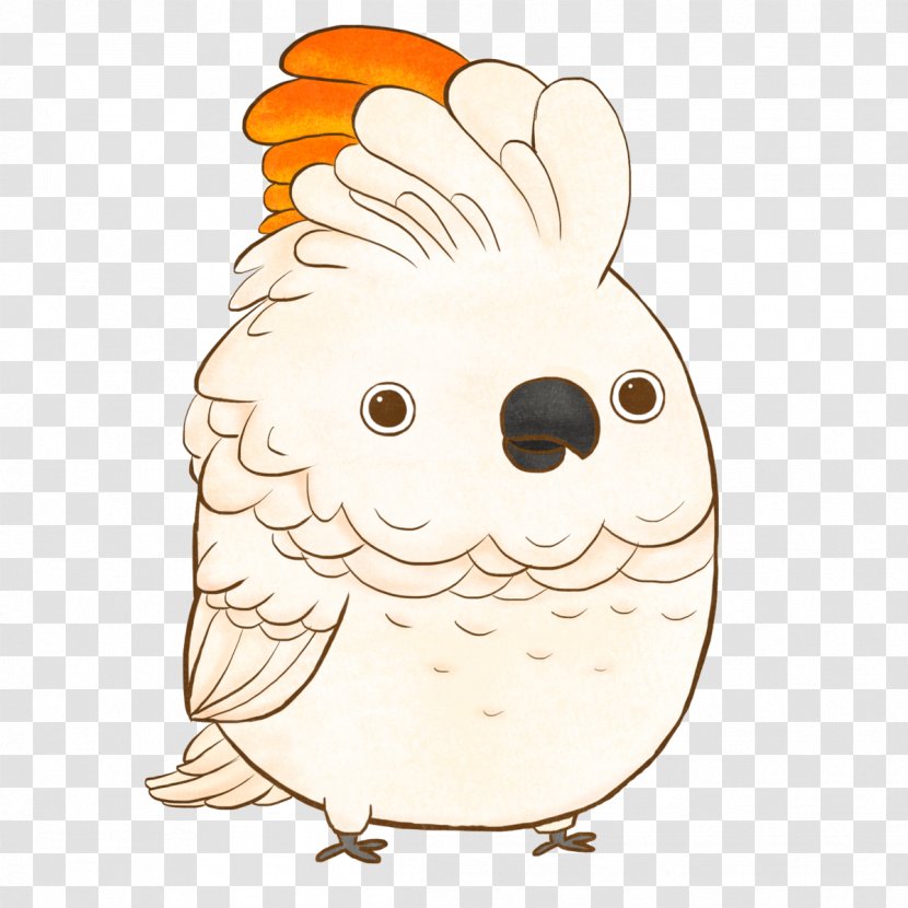 Chicken The Chubbies Bird Owl Cockatoo - Salmoncrested Transparent PNG