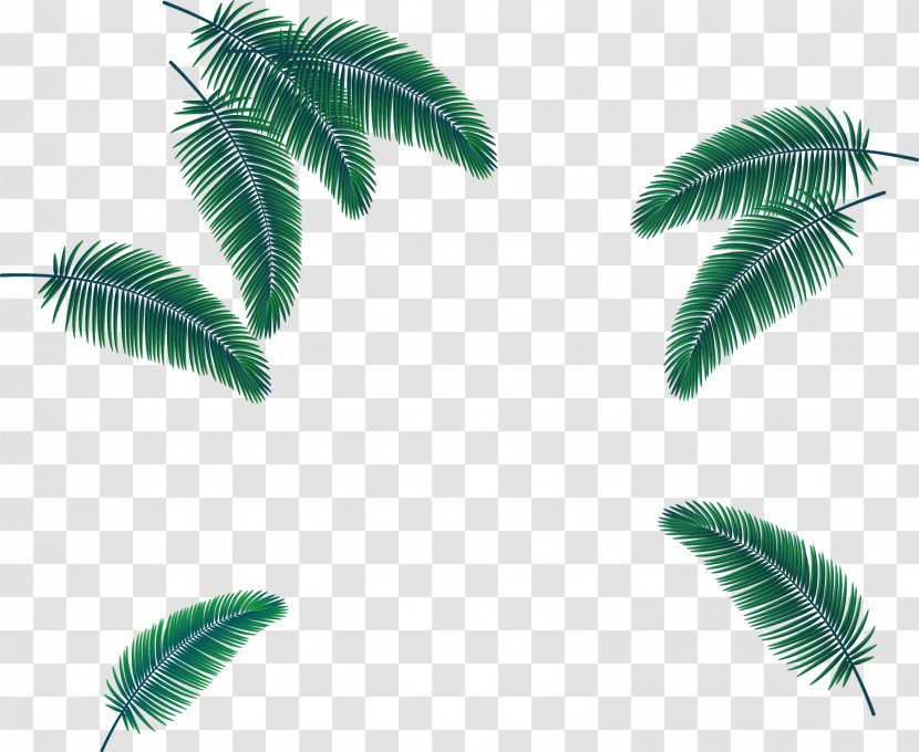 Leaf Flat Design - Palm Tree - Vector Hand-painted Iron Leaves Transparent PNG