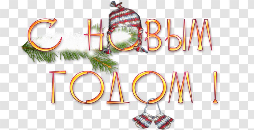 New Year Ded Moroz Christmas Day Snegurochka - Holiday Transparent PNG