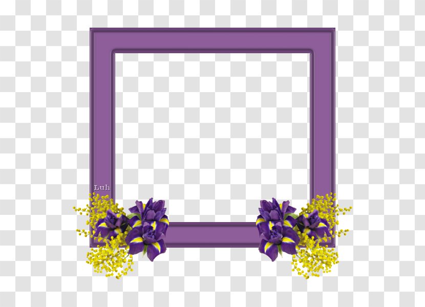 Floral Design Mimosa Salad Cut Flowers Picture Frames - Rectangle Transparent PNG