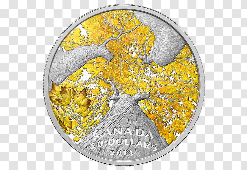 Canada Canadian Silver Maple Leaf Coin - Gold - Autumn Price To Transparent PNG