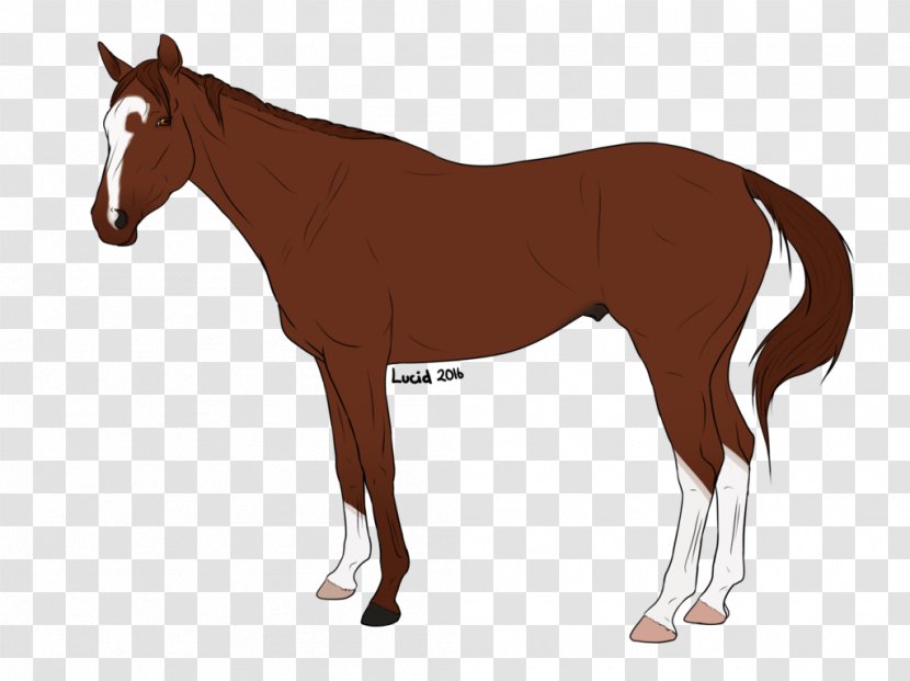 Clydesdale Horse Friesian Arabian Shire Draft - Equestrian - Dnd Transparent PNG