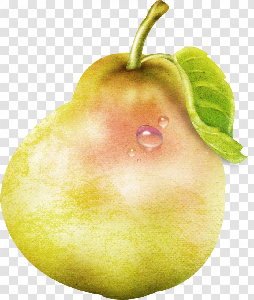 Pear Cartoon Photography Transparent PNG