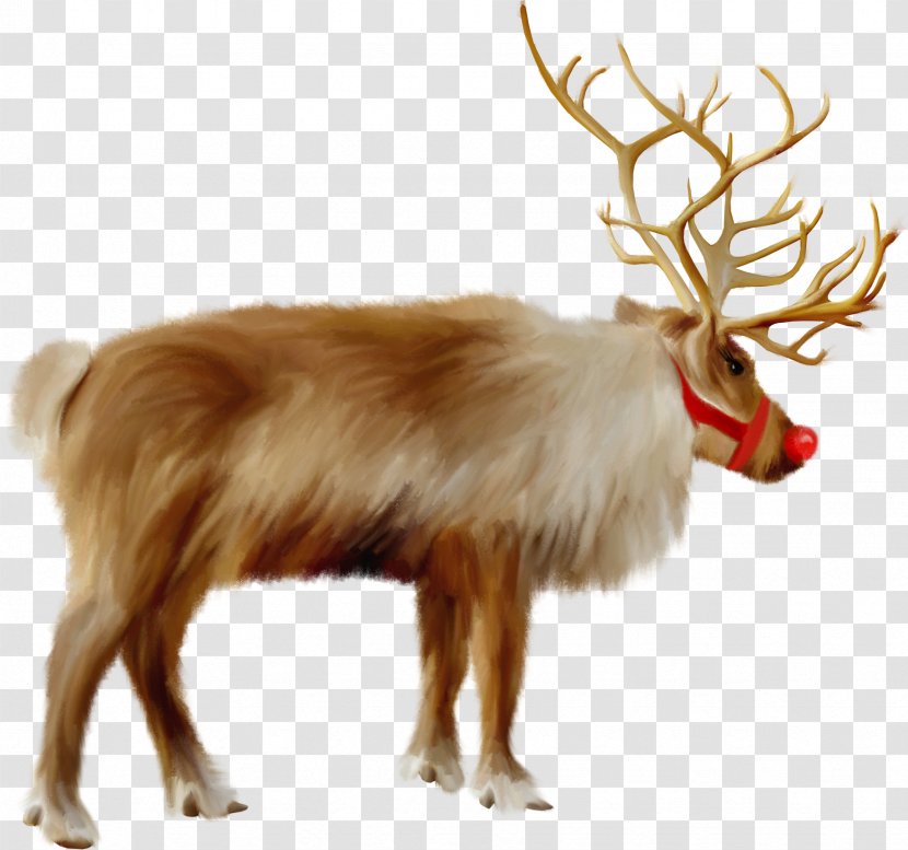 Santa Claus's Reindeer Christmas Sápmi - Claus S Transparent PNG