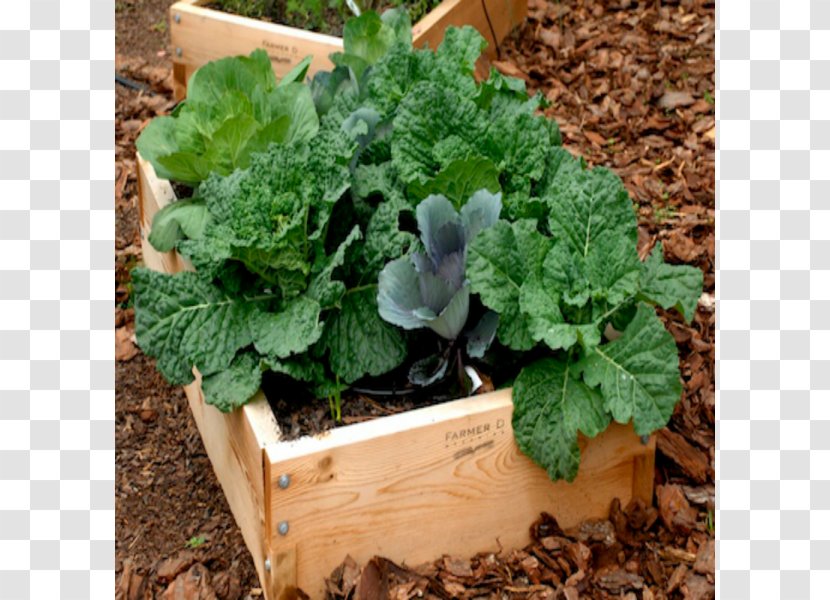 Spring Greens Flowerpot Herb Raised-bed Gardening - Fines Herbes Transparent PNG