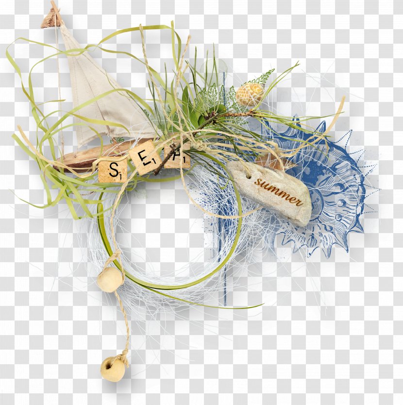 Molluscs Hair Clothing Accessories - Accessory Transparent PNG