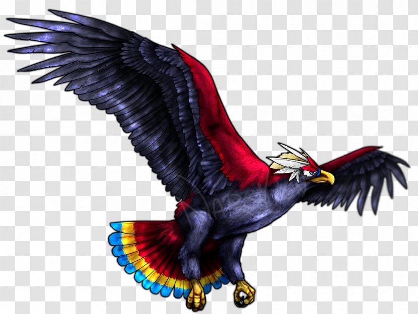 Bald Eagle Braviary Rufflet Bird - Vulture Transparent PNG