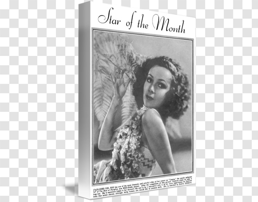 Dolores Del Río Picture Frames Gallery Wrap Canvas - True Confessions Transparent PNG