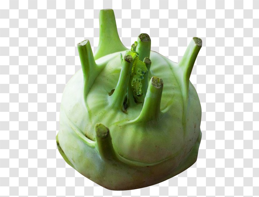 Kohlrabi Vegetable Brassica Juncea - Food Transparent PNG