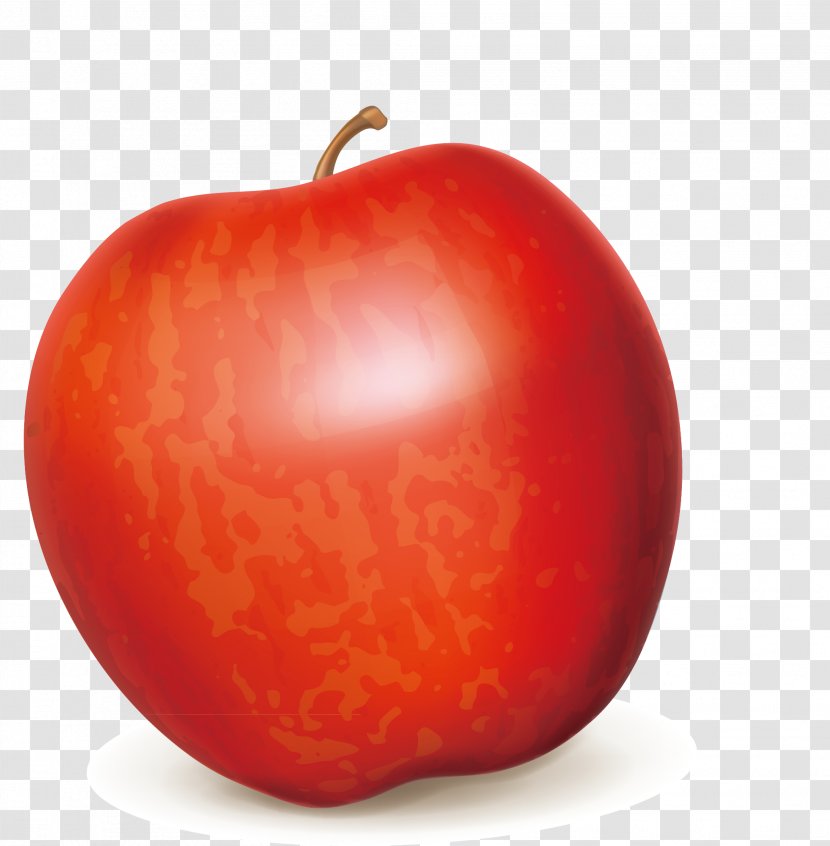 Tomato Diet Food Local Natural Foods - Red Apple Decoration Design Transparent PNG