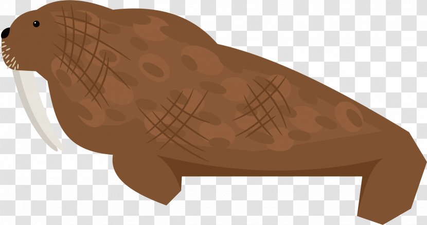 Sea Lion Walrus Earless Seal - Mammal - Brown Vector Transparent PNG