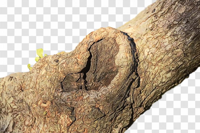 /m/083vt Wood Rock Transparent PNG