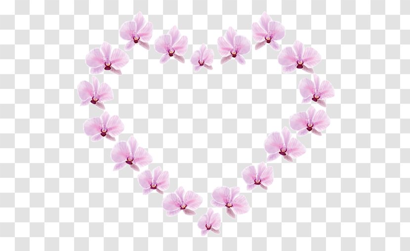 Petal Pink M Cherry Blossom ST.AU.150 MIN.V.UNC.NR AD Transparent PNG