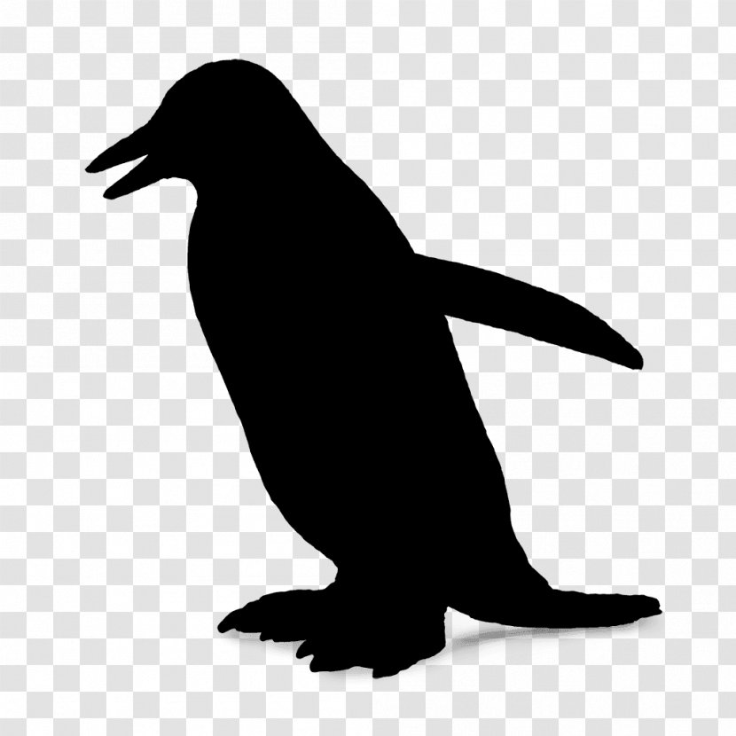 Penguin Sea Lion Fauna Beak - Vertebrate - Silhouette Transparent PNG