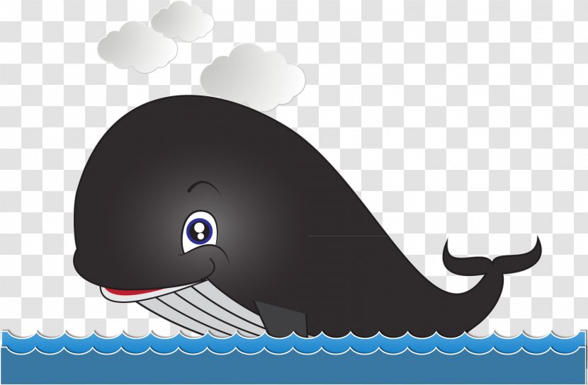 Cartoon Whale Drawing - Dolphin Material Transparent PNG
