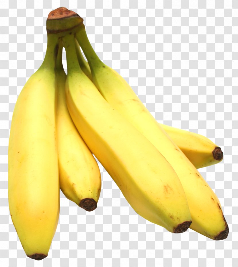 Saba Banana Cooking Food Fruit - Bunch Transparent PNG