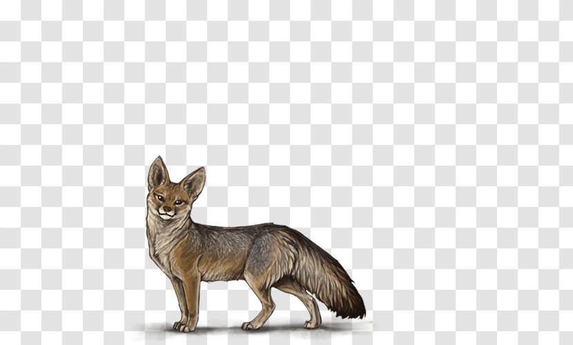 Red Fox Dog Breed Jackal Fauna - Tail Transparent PNG