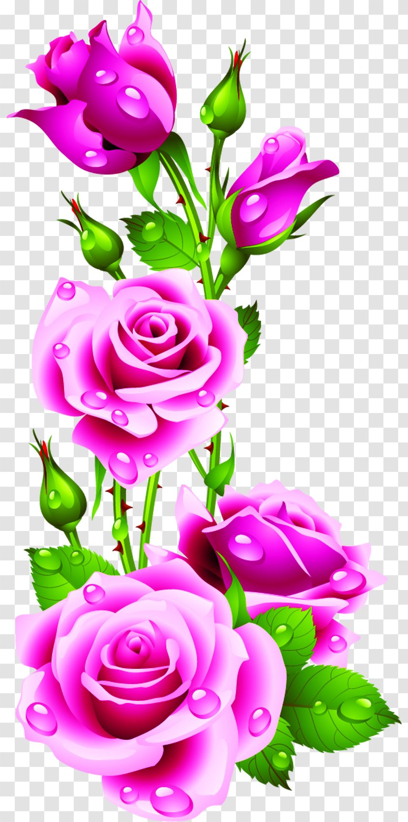 Rose Pink Flowers Clip Art - Flower - Water Drops Petals Transparent PNG