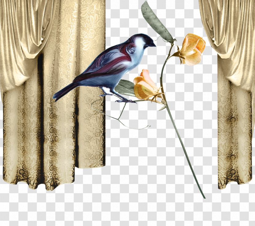 Theres Someone Inside Your House Curtain Clip Art - Beak - Silk Curtains Transparent PNG