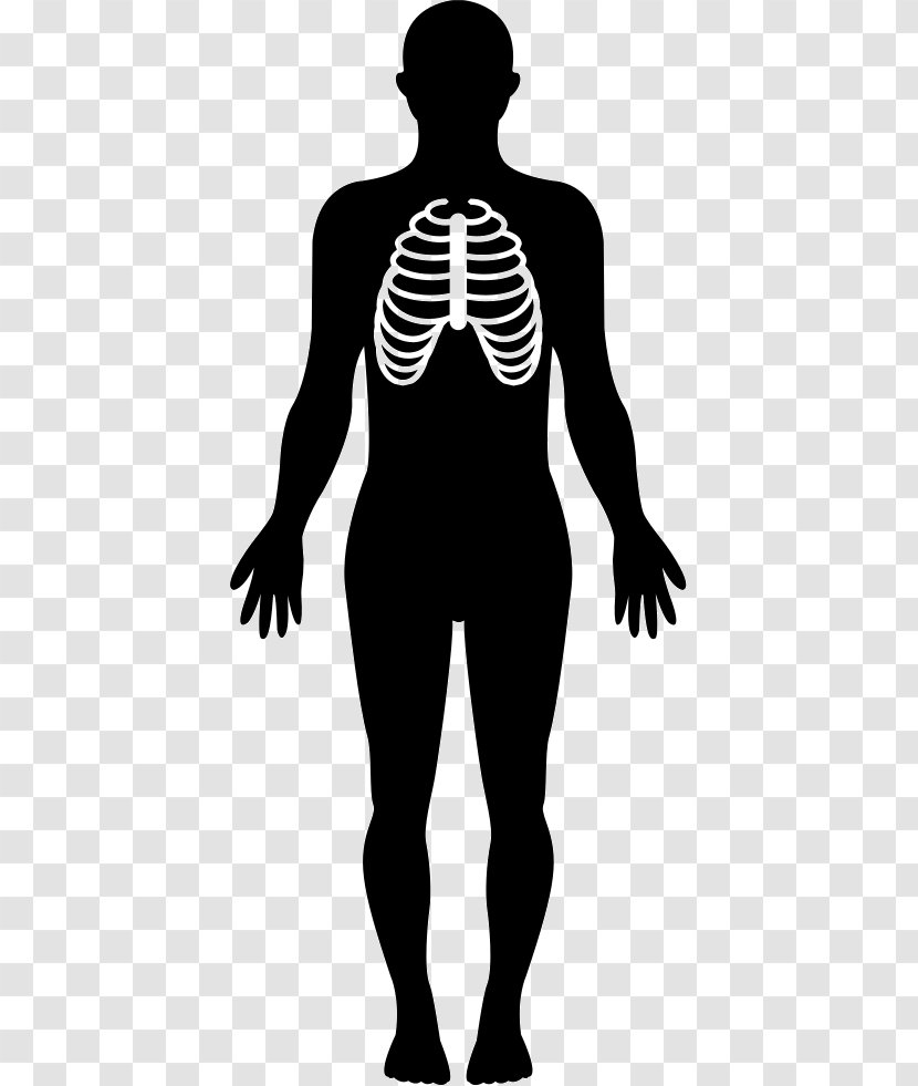 Human Body Homo Sapiens Clip Art - Silhouette Transparent PNG