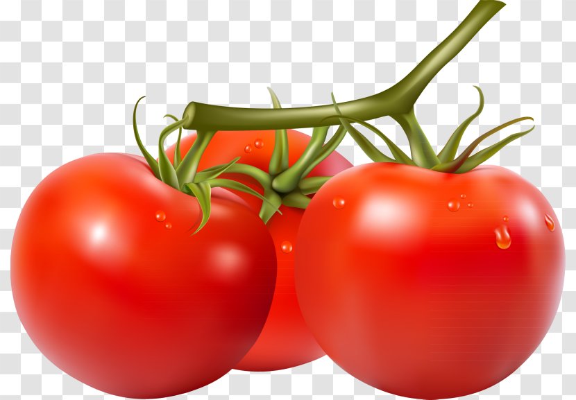 Cherry Tomato San Marzano Stock Photography Clip Art - HD Tomatoes Transparent PNG