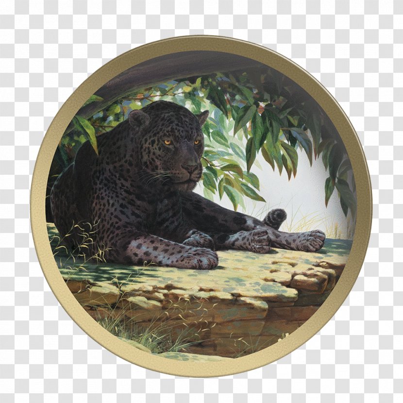 Painting Artist Leopard Guy Coheleach's Animal Art - Cat Transparent PNG