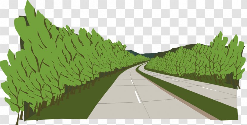 Tree Illustration Biome Grasses Leaf - Old Route 66 Transparent PNG
