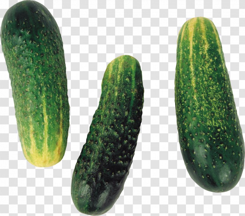 Pickled Cucumber Olivier Salad Vegetable Transparent PNG