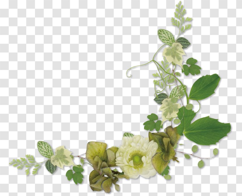 Floral Design Flowerpot Petal Leaf - Flower Transparent PNG