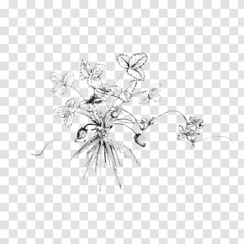 Drawing Sketch Image Plants Design - Blog - Plant Transparent PNG