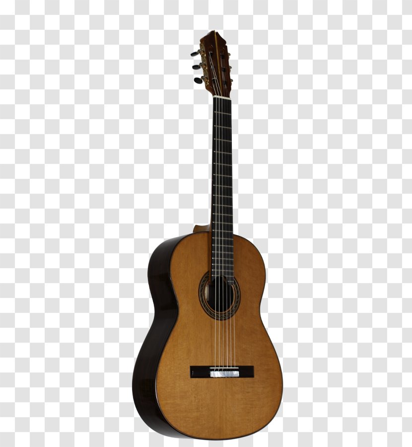 Acoustic Guitar Musical Instruments Pasillo Classical - Cartoon - Hill Top Transparent PNG