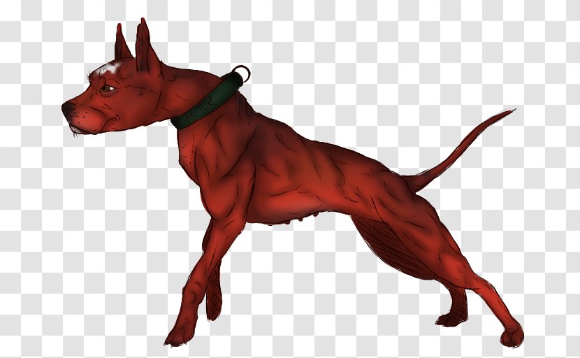 Dog Breed Snout Transparent PNG