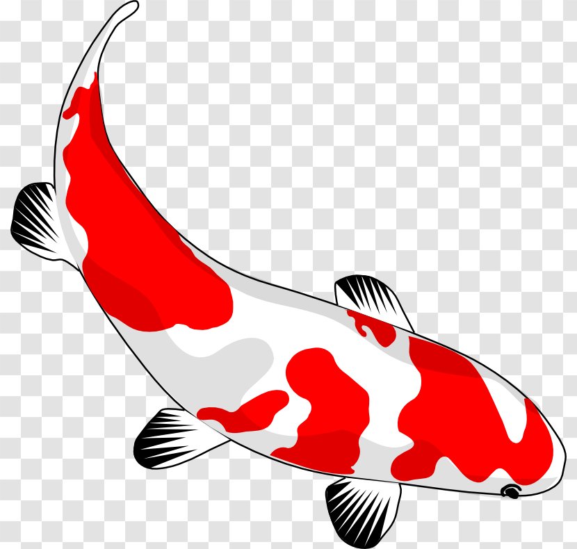 Koi Goldfish Drawing Clip Art - Carp - Asian Culture Pictures Transparent PNG